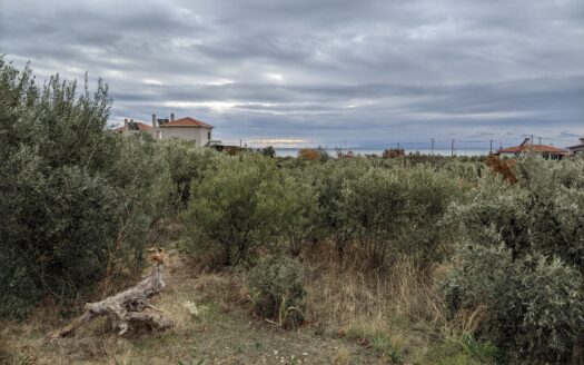 ΑΠΟΚΛΕΙΣΤΙΚΗ ΕΥΚΑΙΡΙΑ – ΟΙΚΟΠΕΔΟ 2.000 Τ.Μ. ΜΕ ΑΔΕΙΑ ΟΙΚΟΔΟΜΗΣ , 300 Μ. ΑΠΟ ΤΗ ΘΑΛΑΣΣΑ 130.000 ΕΥΡΩ