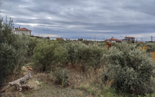 ΑΠΟΚΛΕΙΣΤΙΚΗ ΕΥΚΑΙΡΙΑ – ΟΙΚΟΠΕΔΟ 2.000 Τ.Μ. ΜΕ ΑΔΕΙΑ ΟΙΚΟΔΟΜΗΣ , 300 Μ. ΑΠΟ ΤΗ ΘΑΛΑΣΣΑ 130.000 ΕΥΡΩ